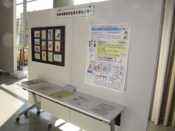 展示の様子